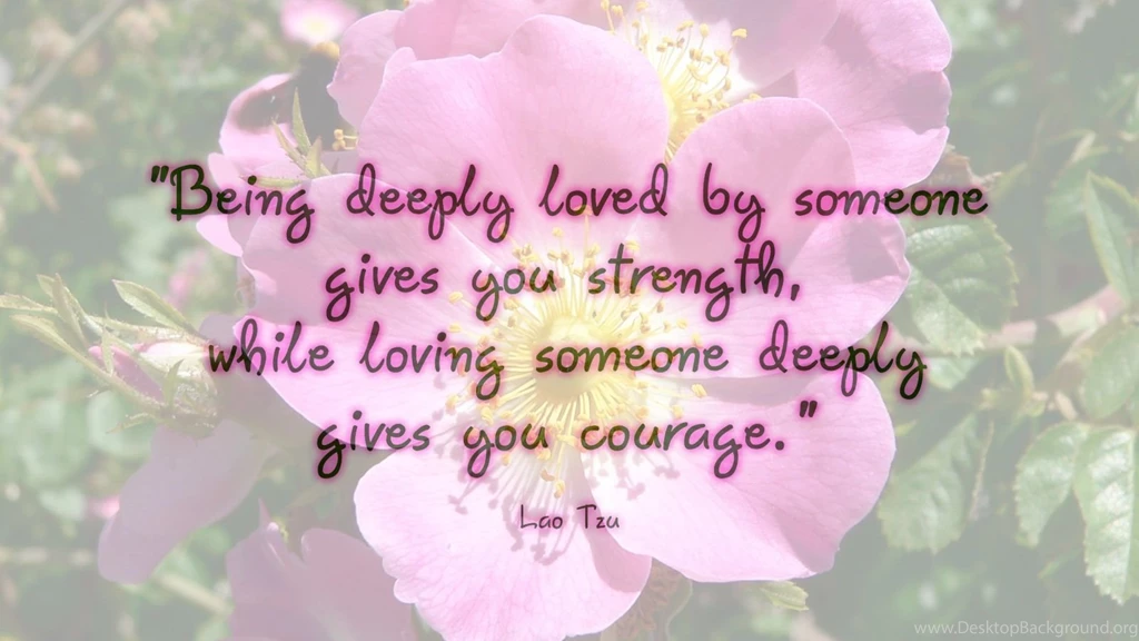 Wallpapers Quotes