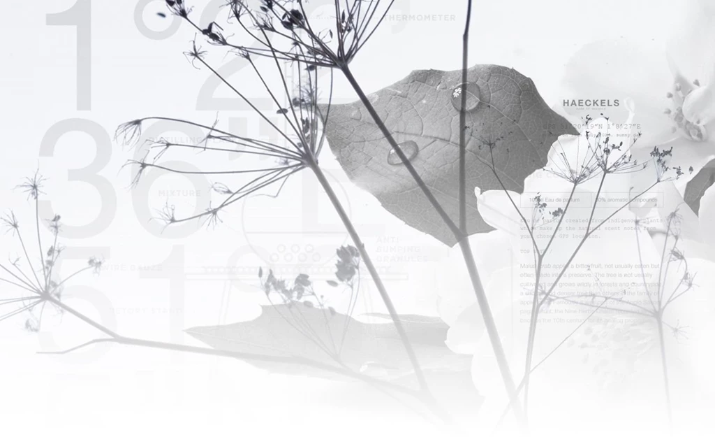 Perfumes Haeckels