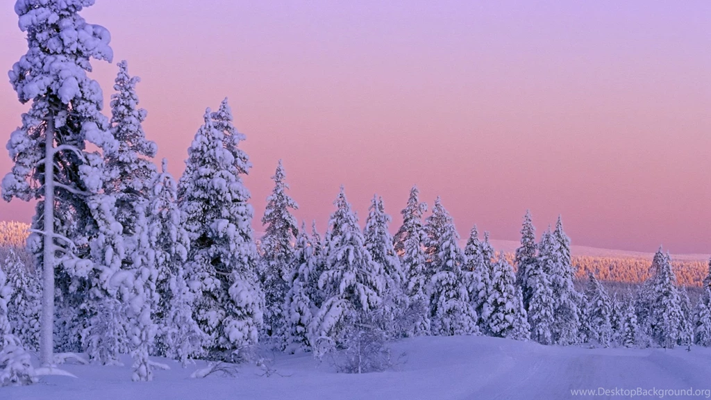 Pretty Winter Backgrounds HD Wallpapers