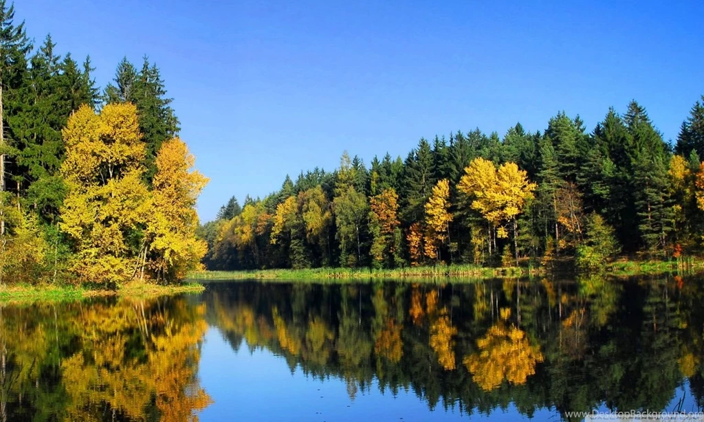 Fall Trees Reflection HD Desktop Wallpapers : High Definition ...