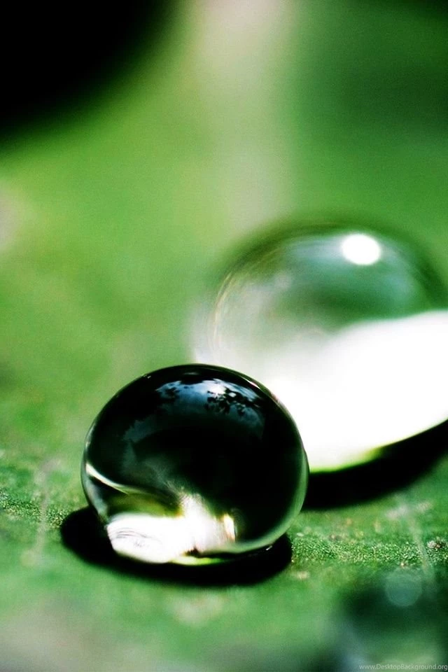 Nature Cell Phone Wallpapers Hd Mobile Wallpapers Img 5