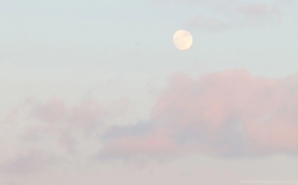 Gallery For   Pale Grunge Backgrounds Tumblr