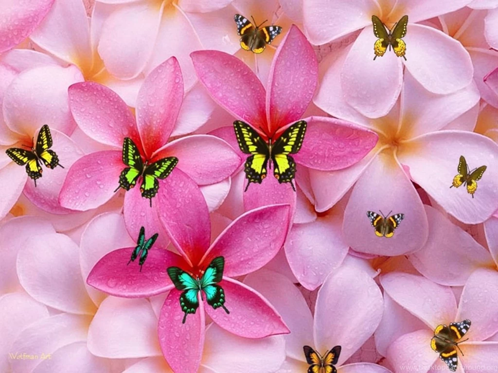Cute Girly Desktop backgrounds.jpg