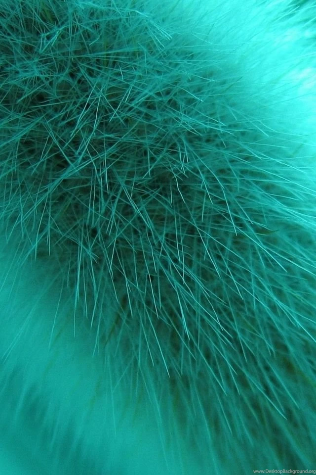 Beautiful iPhone 4 Wallpapers 0 640x960 Wallpapers, 640x960 ...