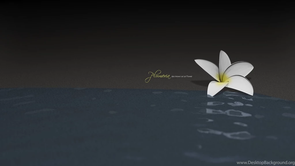 Wallpapers8