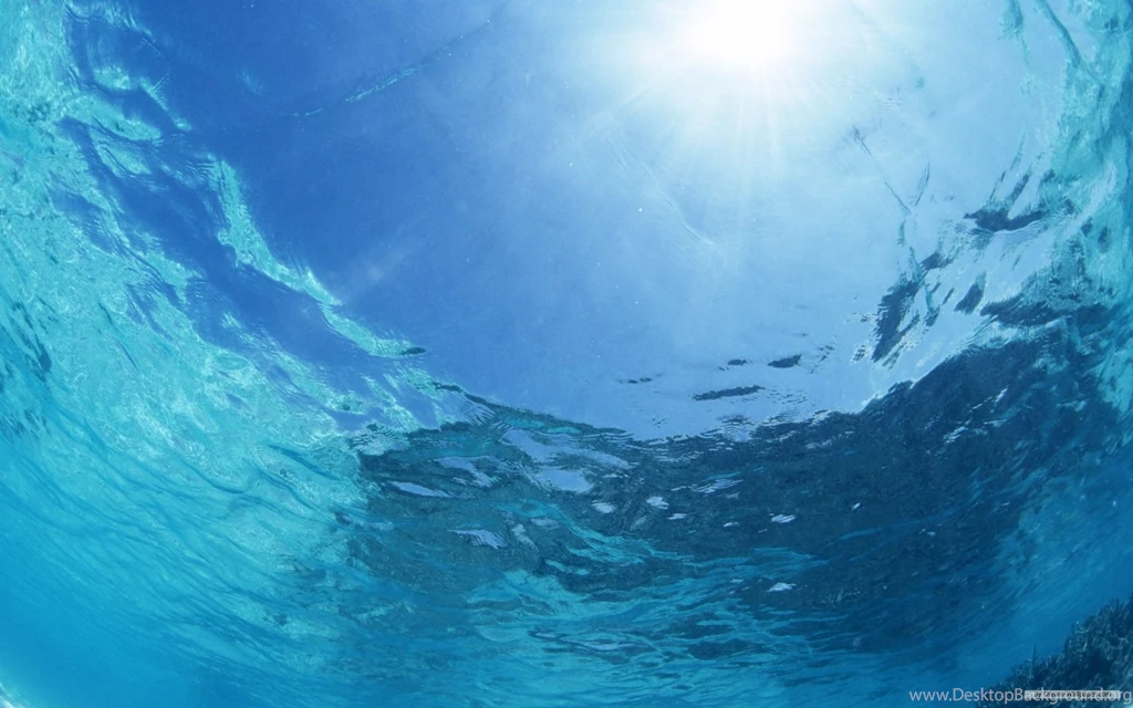 Gallery For   Clear Ocean Water Wallpapers