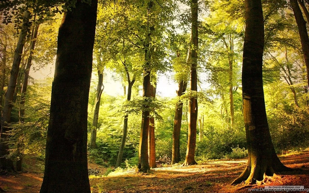 Free Wallpapers Free Nature Wallpapers Windows 7 Themes ...