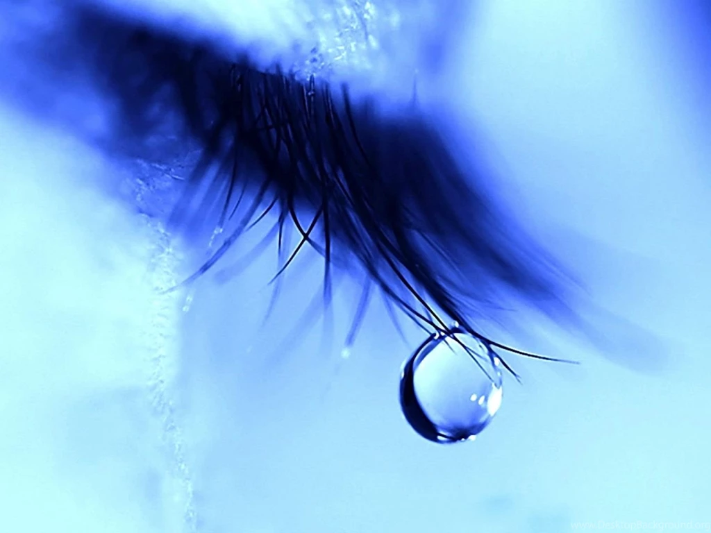 Blue Butterfly Dreaming   Yoga Bloom