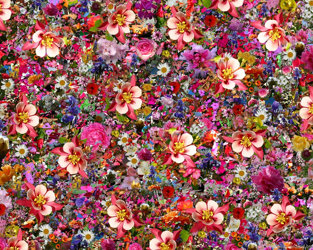 Psychedelic Wallpapers