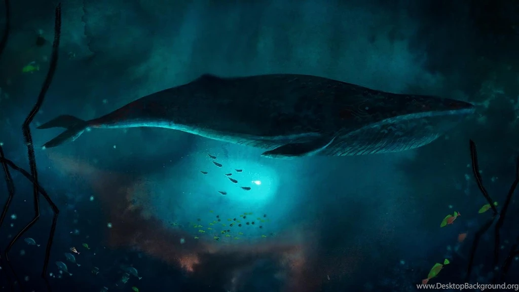 14 Song Of The Sea Hd Wallpapers Desktop Background