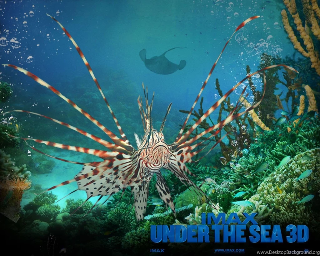 Under The Sea 3D Wallpapers
