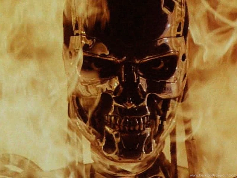 XP Wallpaper, Terminator