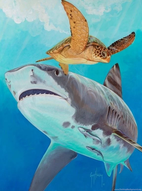 Guy Harvey On Pinterest