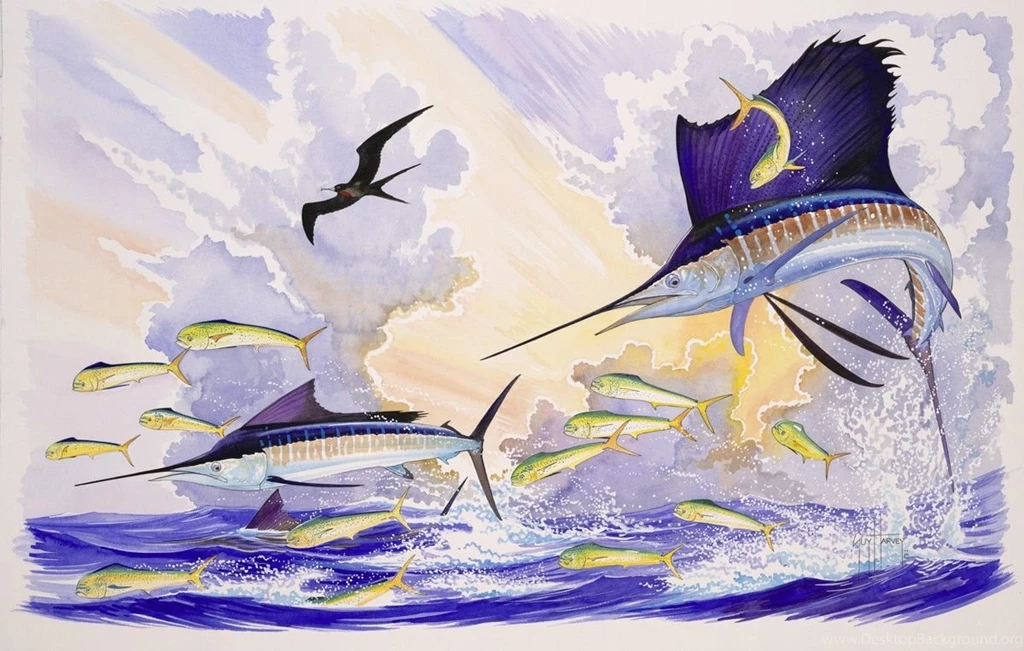 Guy Harvey Art Zoom