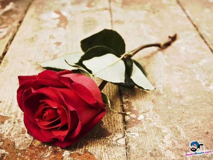 Dinesh Gupta On Pinterest