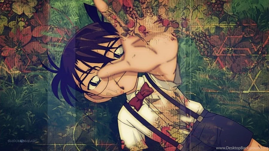 Detective Conan Wallpapers From Don't Wanna Lie By ShidoLionheart ...