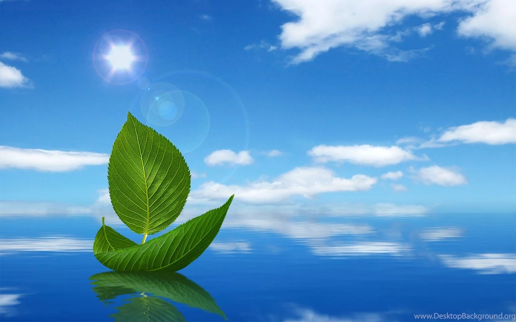 Nature, Blue, Sky, Under, Beautiful, Freebies, Leaves, Creative ...