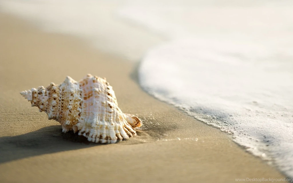 HD Wallpapers Creative Graphics Desktop