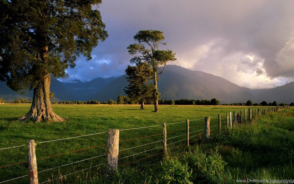 Widescreen Wallpapers 6.jpg