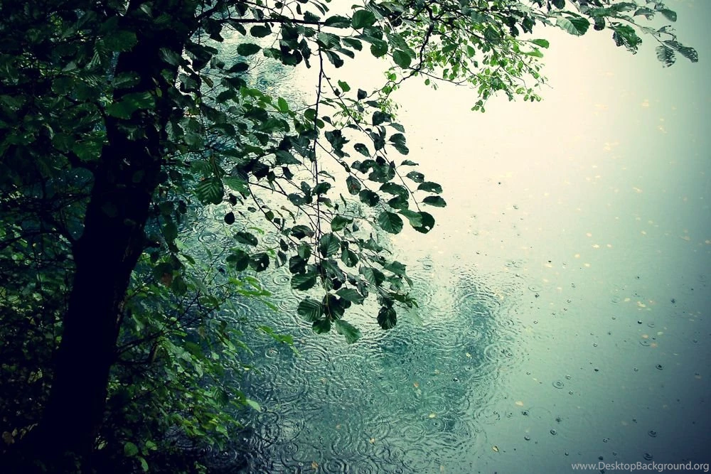 5 Perks Of Going Outside In Crummy Weather Tentree