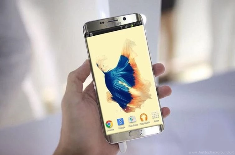 Betta Fish 6S Video Wallpapers 1.2 APK