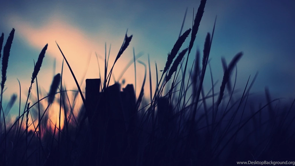 Download Silhouette Photography Wallpapers 1080p