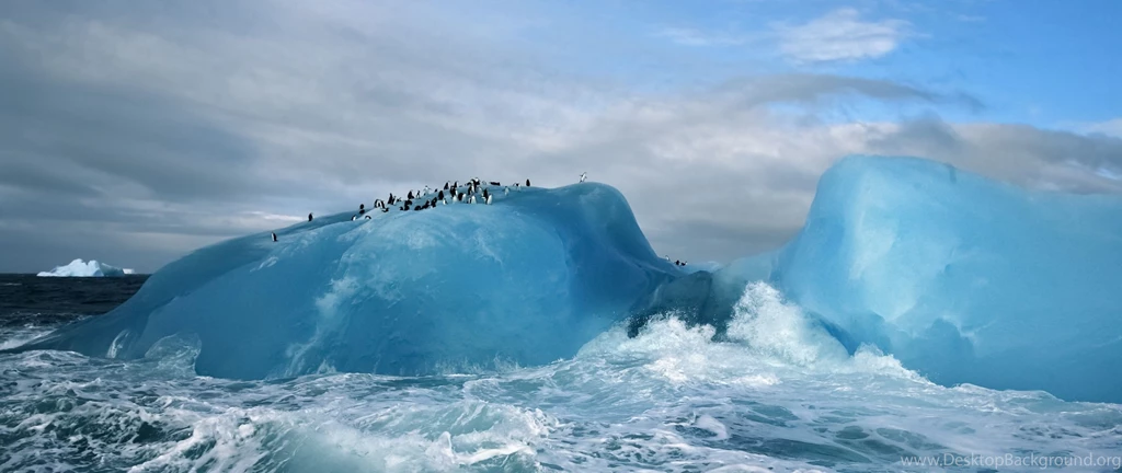 Download Wallpapers 2560x1080 Antarctica, Penguins, Ice, Ocean ...