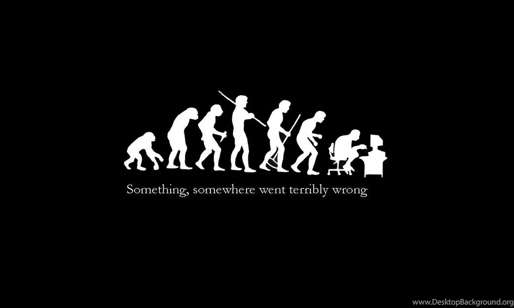 Funny human evolution wallpaper.jpg