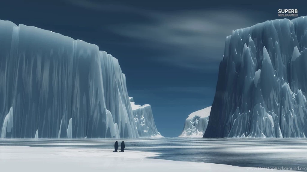 Antarctica Penguin Wallpapers Wallpaper.