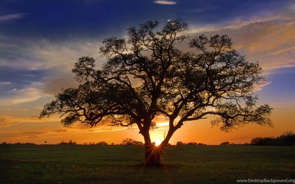 A_little_texas_color 1920x1200.jpg