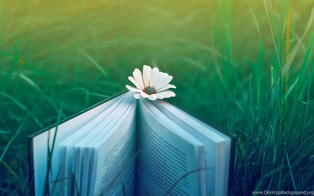 Daisy Flowers Wallpapers (31067229) Fanpop