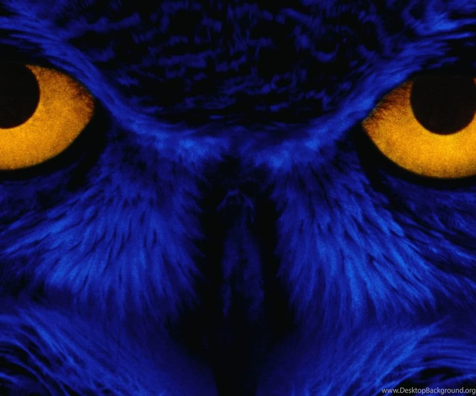 Scary Halloween Pictures Free   HD Wallpapers And Pictures