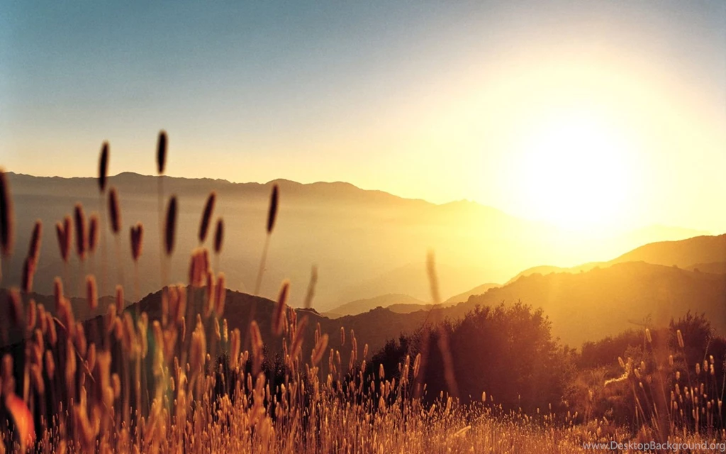 Summer Desktop Wallpapers 95399
