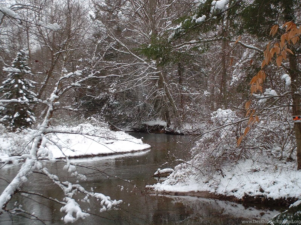 Post Up Your Good Desktop Wallpapers! [Archive]   ArcheryTalk ...