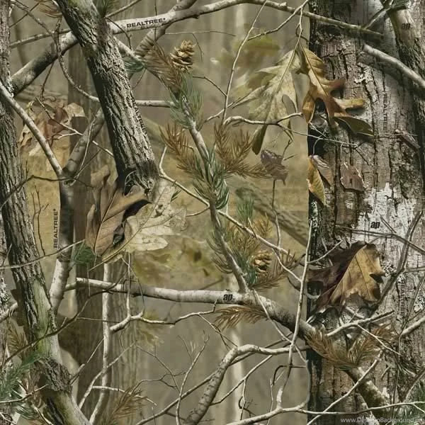 Image Detail For  Realtree Camo Graphics, Pictures, & Images For ...