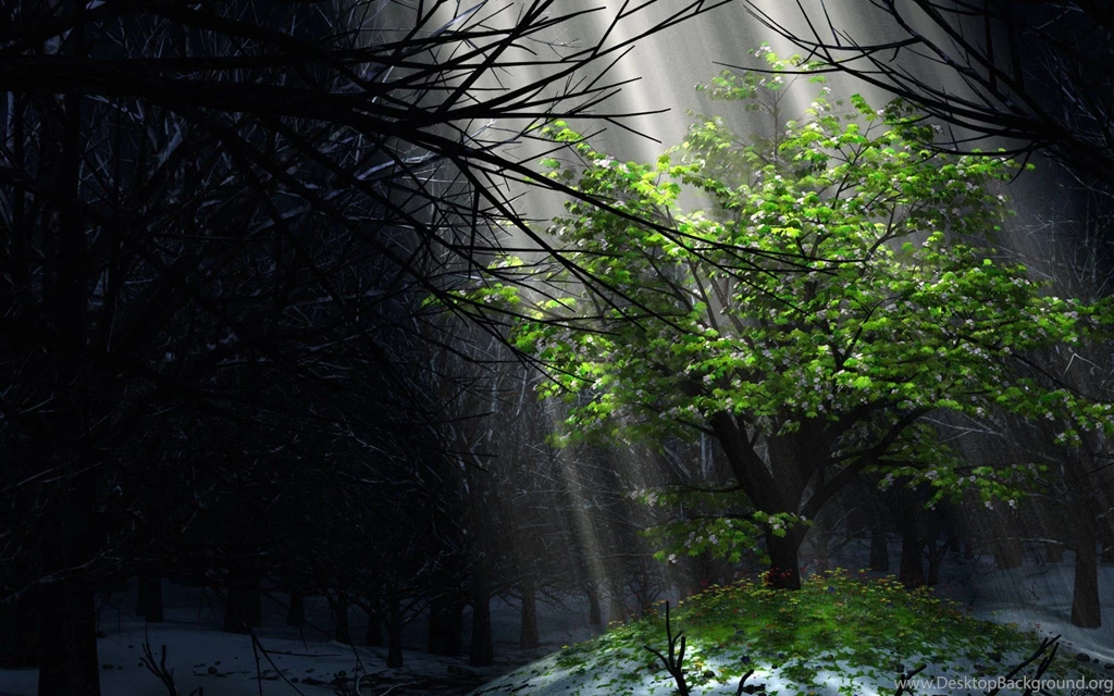 Digital Blasphemy Free Wallpapers   765003