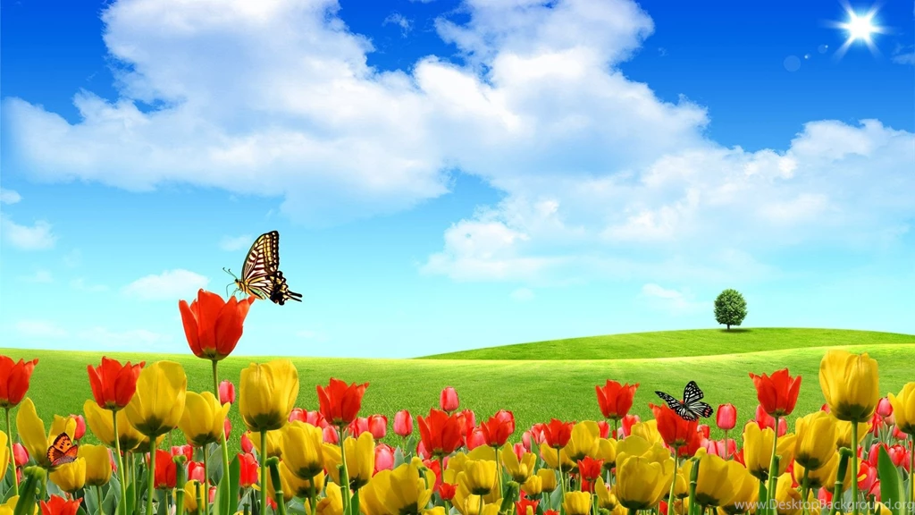 Butterfly Flowers Balloons Clean Digital Art Widescreen Wallpapers ...