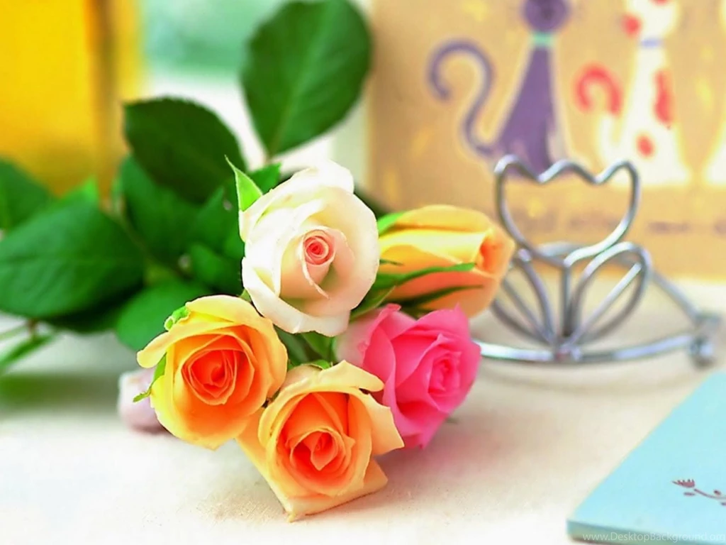 3072x2048px Images Of Beautiful Flowers Roses