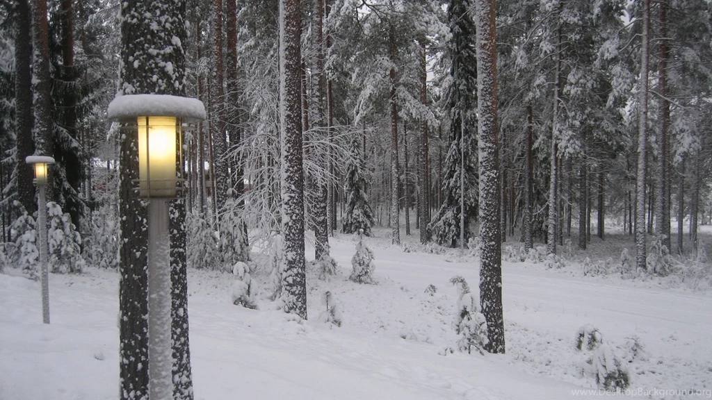Winter Scene HD Wallpapers