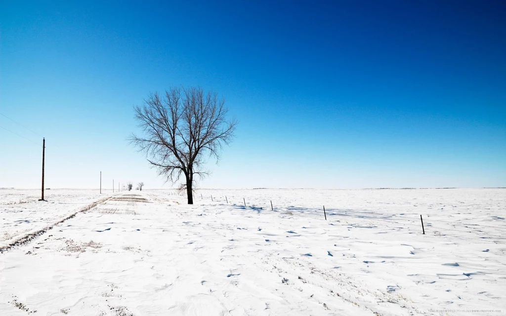 Winter, Snow, Wallpaper, Scenery, Nature, Naturaleza, Mountain ...