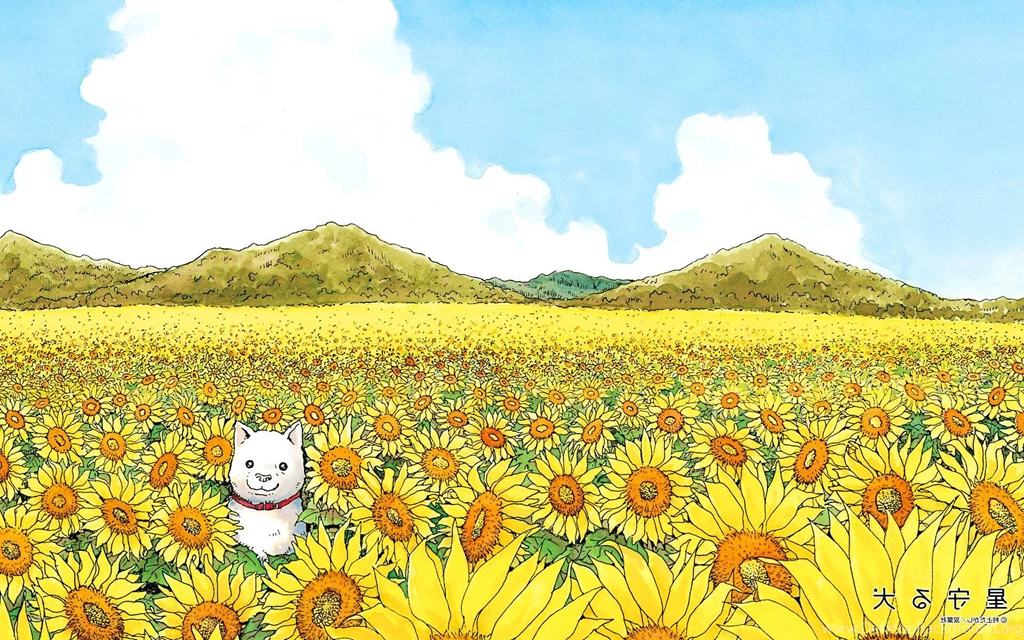 Most Beautiful Flowers Wallpapers Imgur