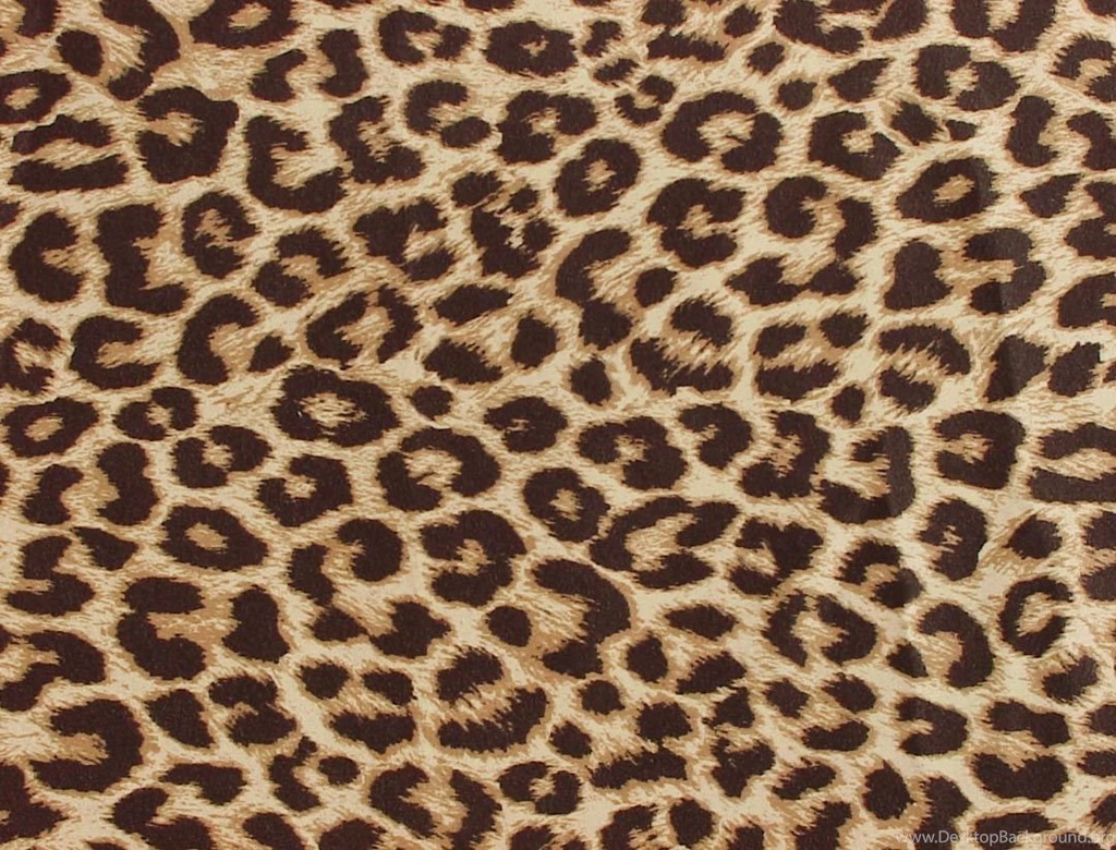 Purple Leopard Print Wallpapers Wallpapers HD Wide