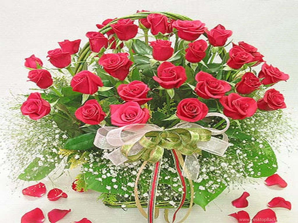 World's Most Beautiful Flowers Wallpapers