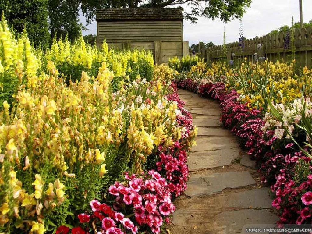 Beautiful Flowers Road Photo Wallpapers