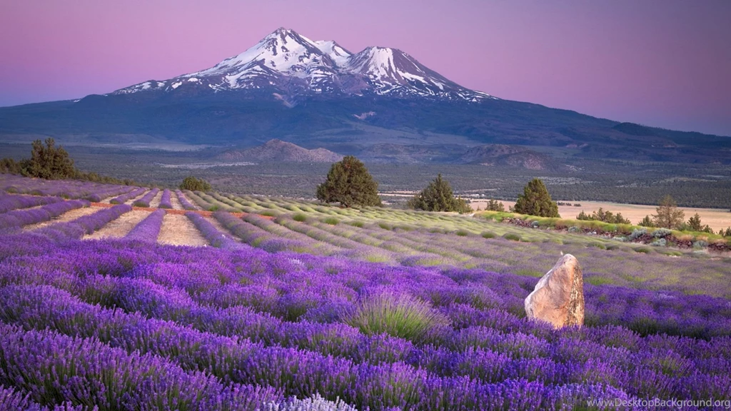 Top Beautiful Scenery Wallpapers 8.jpg