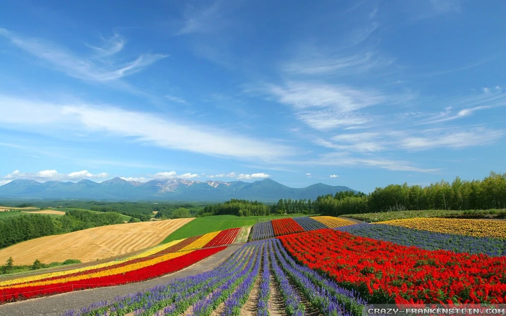 Flowers Scenery Wallpapers Crazy Frankenstein