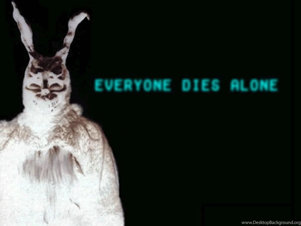 Identities Erased): Donnie Darko Wallpapers