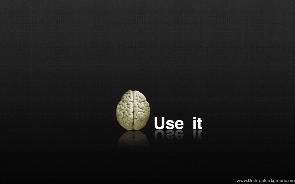 Free Funny Wallpapers For Desktop  AtozWallpapers