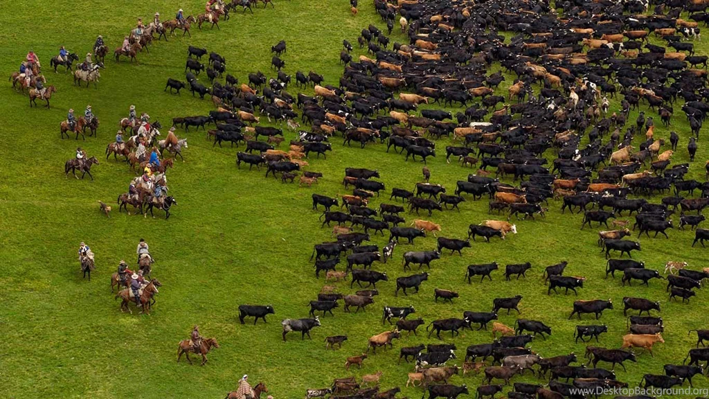 Bing Wallpapers Archive