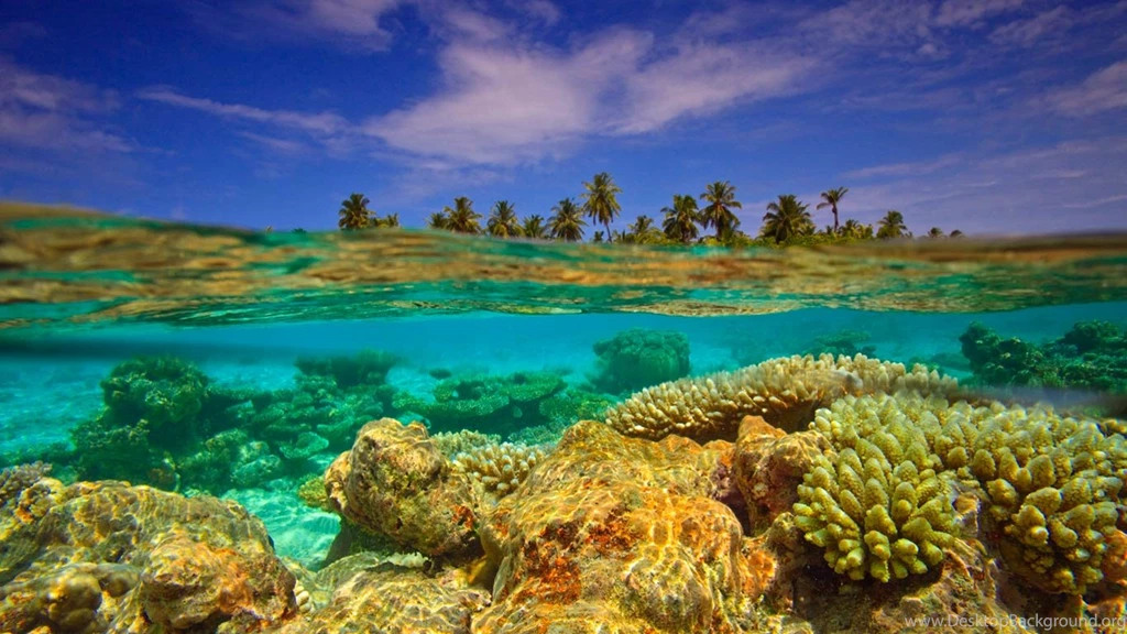 Bing Wallpapers Archive